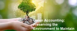 Green Accounting: Preserving the Environment to Maintain Business Continuity