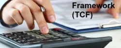 Tax Control Framework (TCF)