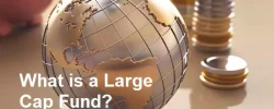 What is a Large Cap Fund?