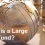 What is a Large Cap Fund?