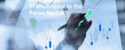 Who Makes Transactions in the Forex Market?